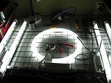 自作の蛍光灯照明器具です、ホームセンターで売られているスチール製のネットに結束バンドでユニットを留めてあります